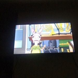 Meet your Posher, Nico